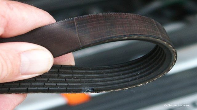 Honda Accord: Why is My Alternator Belt Squeaking?