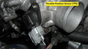 Honda Accord: How to Replace TPS